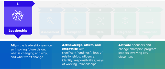 The Leadership stage of the LAND-IT methodology.